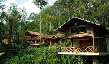 Coorg