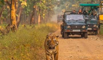 Jim Corbett