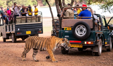 Ranthambore